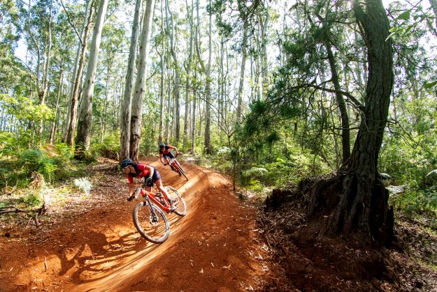 Cape to 2025 cape mountain bike